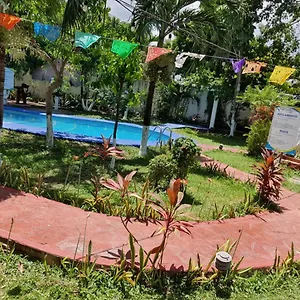 Colibrí Bacalar
